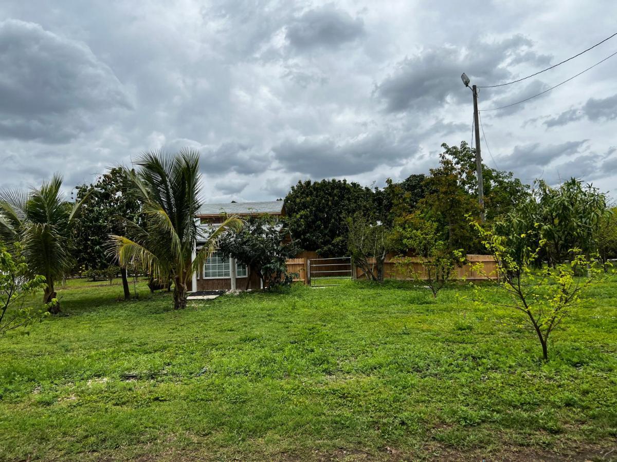 Maria'S Tiny Barn Guest House Homestead Luaran gambar