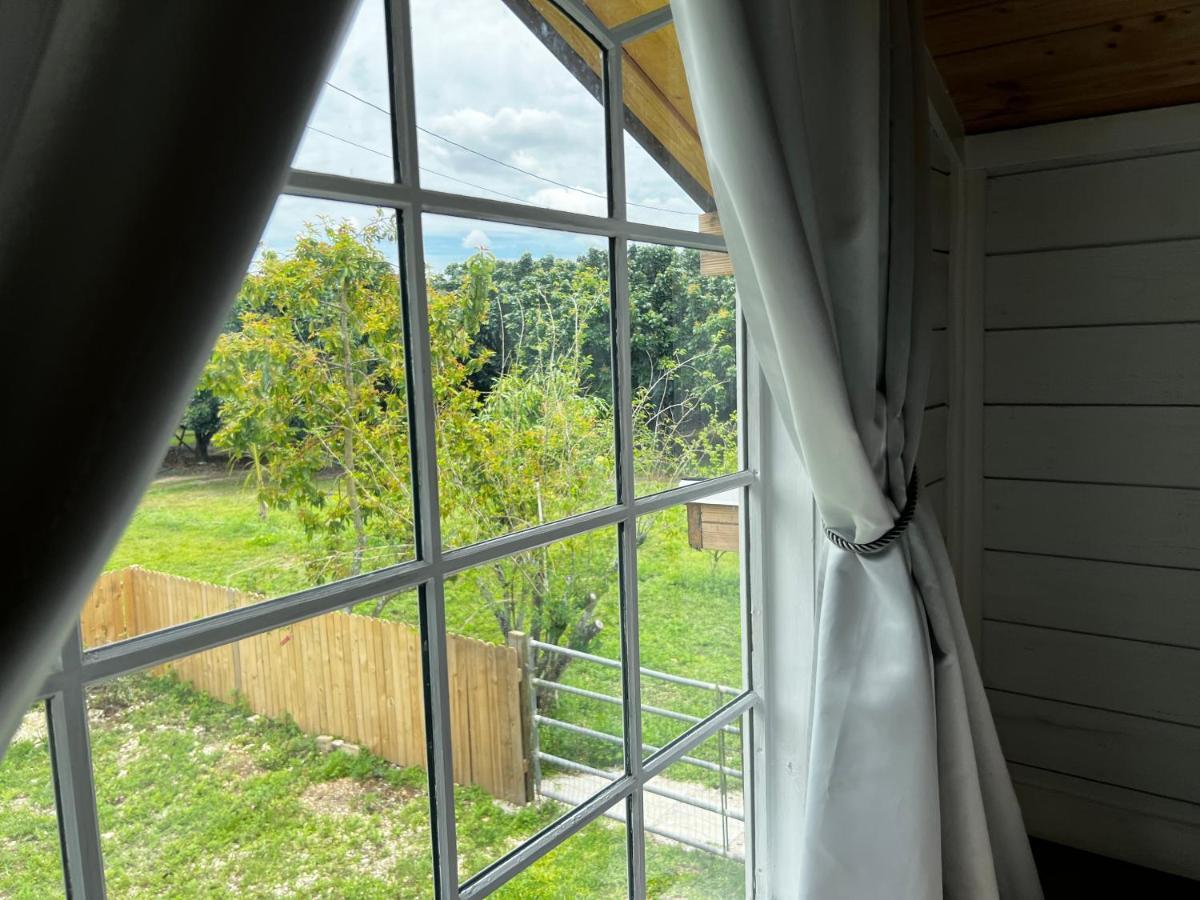 Maria'S Tiny Barn Guest House Homestead Luaran gambar